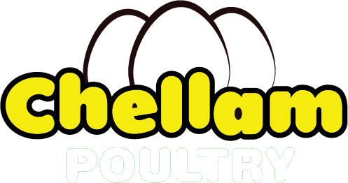 Chellam Poultry – Largest Egg Supplier in TamilNadu